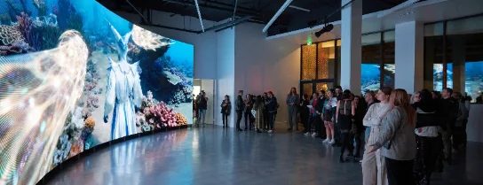 Still - Exhibition View