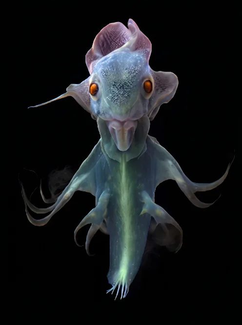 Creature Study - Deep-Sea Organism